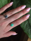 Emerald Valley Turquoise