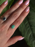 Emerald Valley Turquoise